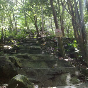 Der Weg