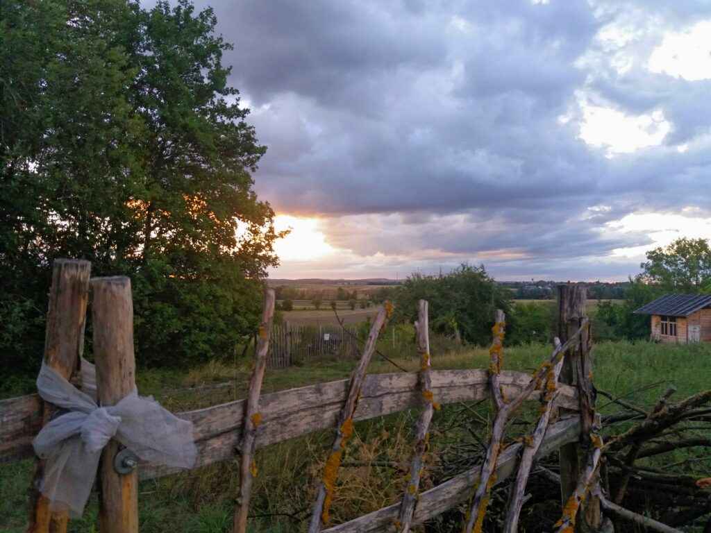 20200826_064429