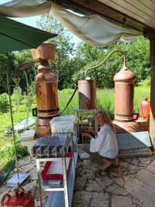 IMG_20210718_155233