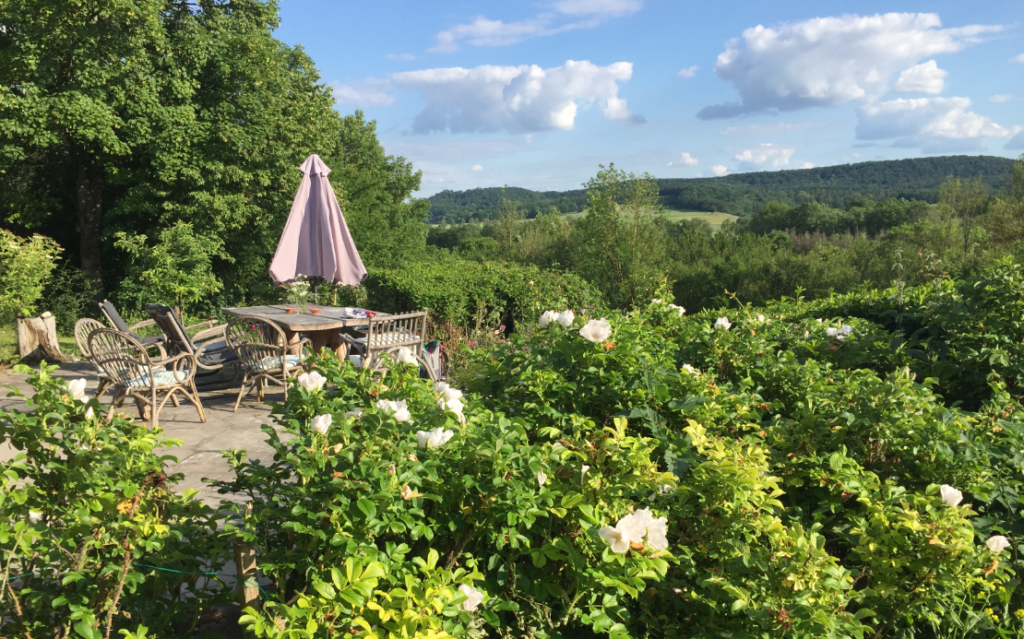 weitblick