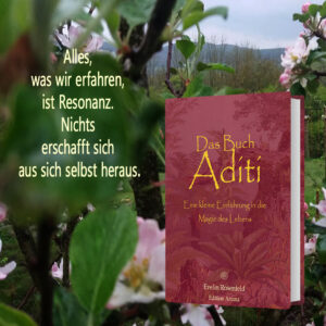 Alles, was wir erfahren, ist Resonanz